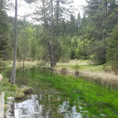 Haus Guem Apartment Ehrwald