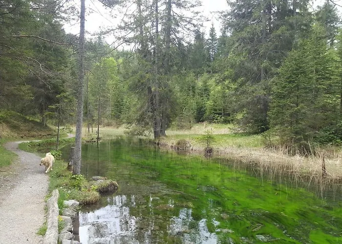 Haus Guem Lägenhet Ehrwald
